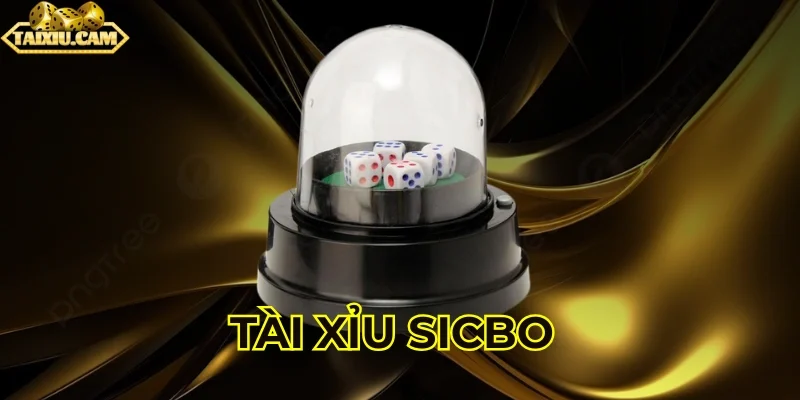 Tài xỉu Sicbo là gì?