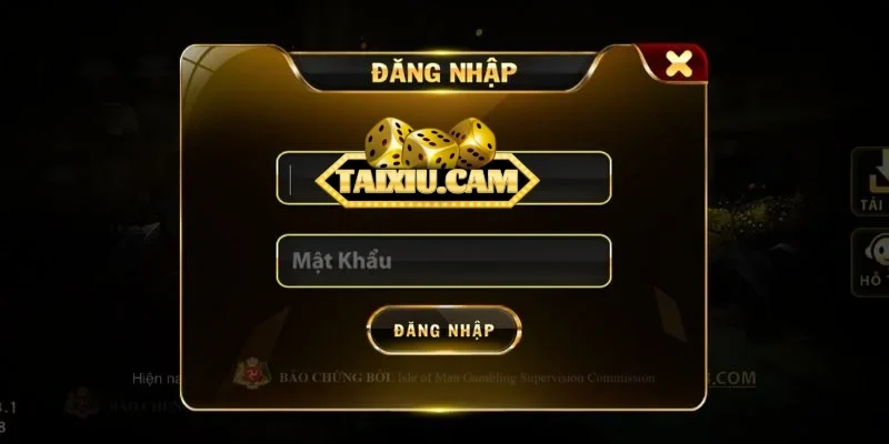 Đăng nhập tài xỉu qua điện thoại 