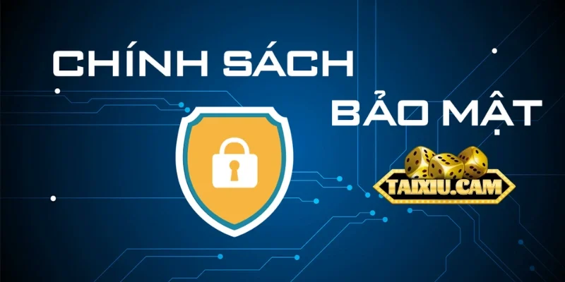 Nguyên nhân thu thập và mục đích khai thác thông tin