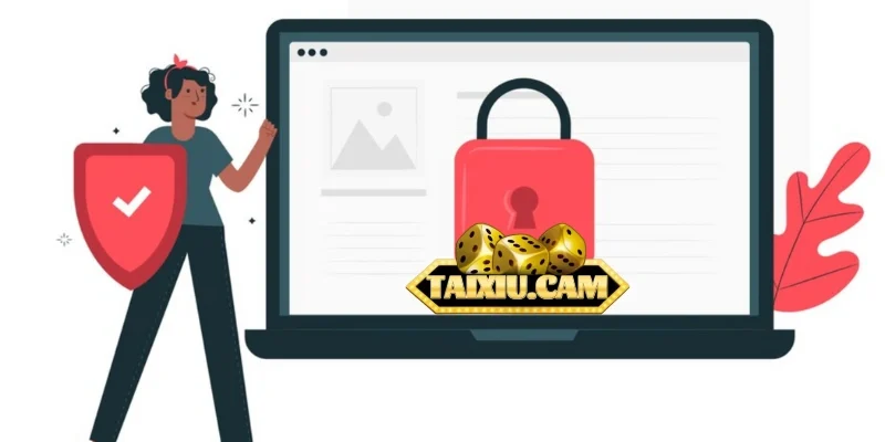 Đảm bảo kết nối mạng ổn định