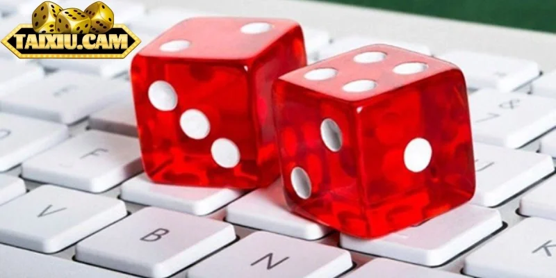 Luật chơi tài xỉu online cơ bản, dễ hiểu