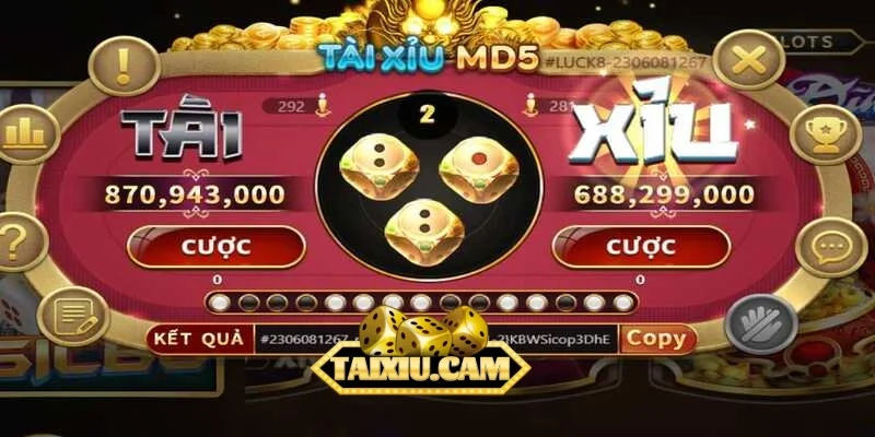 Hướng dẫn từ A-Z cho người mới chơi lần đầu