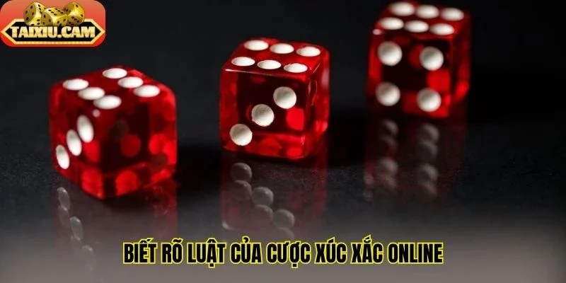 Biết rõ luật của cược xúc xắc online
