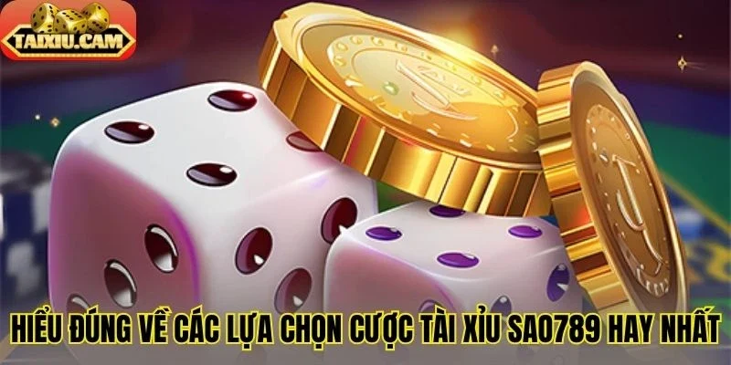 Hiểu đúng về các lựa chọn cược tài xỉu Sao789 hay nhất