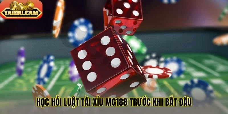 Học hỏi luật tài xỉu MG188 trước khi bắt đầu