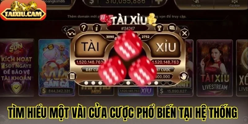 Tìm hiểu một vài cửa cược phổ biến tại hệ thống 