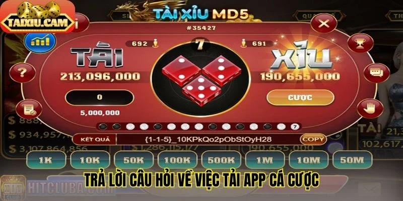 Trả lời câu hỏi về việc tải app cá cược
