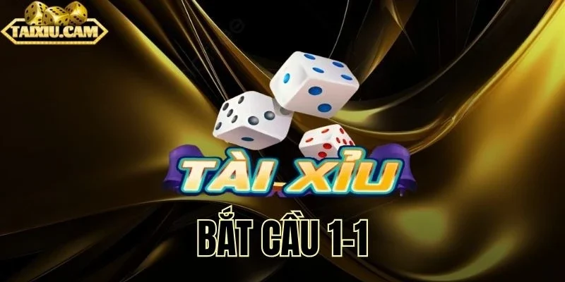 Bí quyết nâng cao từ cộng đồng dân chơi