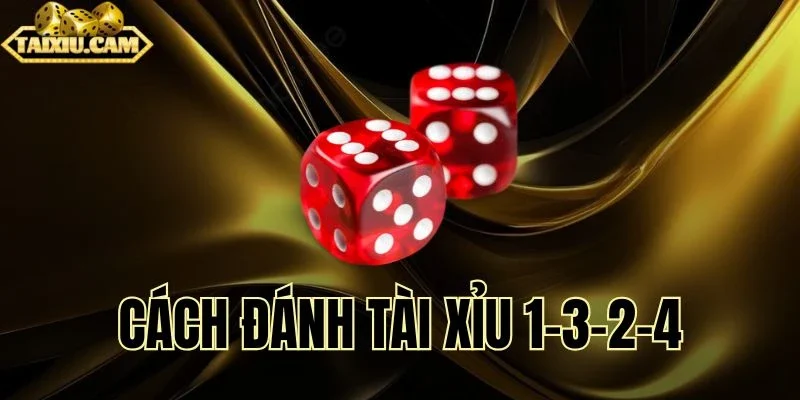 Giải đáp thắc mắc về cách đánh tài xỉu 1-3-2-4