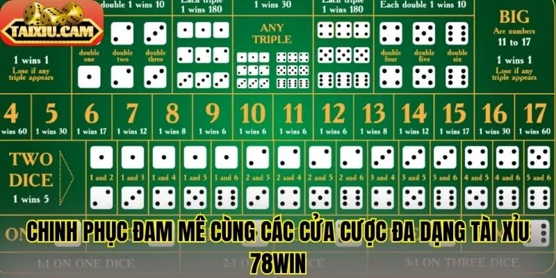 Chinh phục đam mê cùng các cửa cược đa dạng tài xỉu 78Win