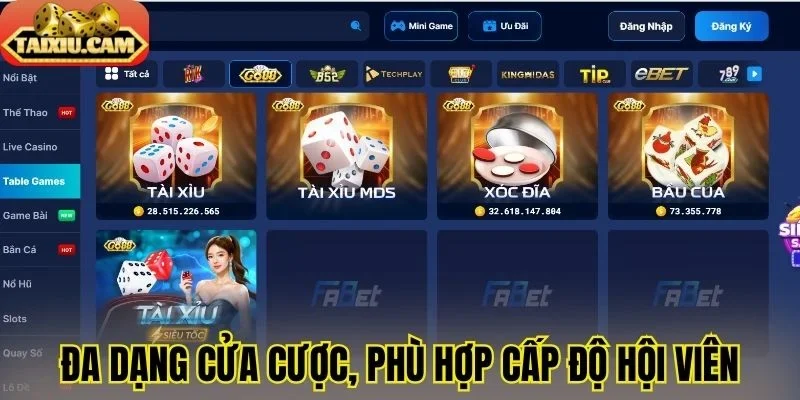 Đa dạng cửa cược, phù hợp cấp độ hội viên
