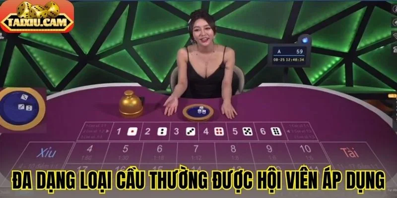 Đa dạng loại cầu thường được hội viên áp dụng