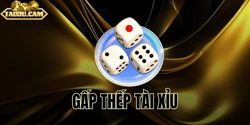 Giải đáp nhanh về gấp thếp tài xỉu online