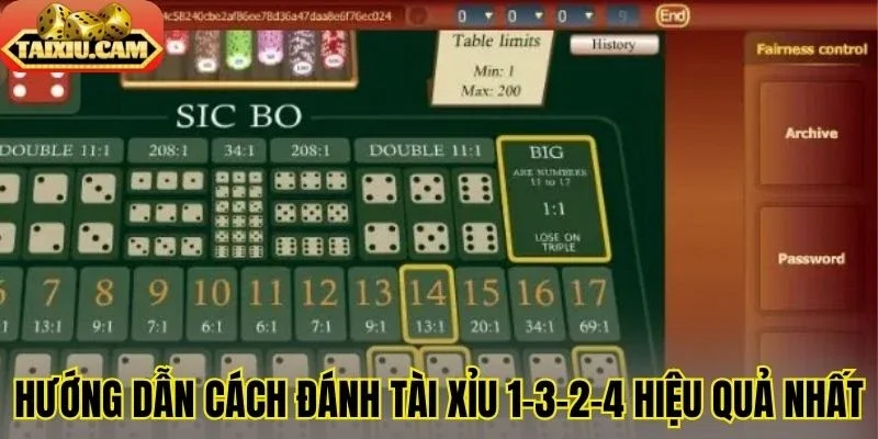 Hướng dẫn cách đánh tài xỉu 1-3-2-4 hiệu quả nhất