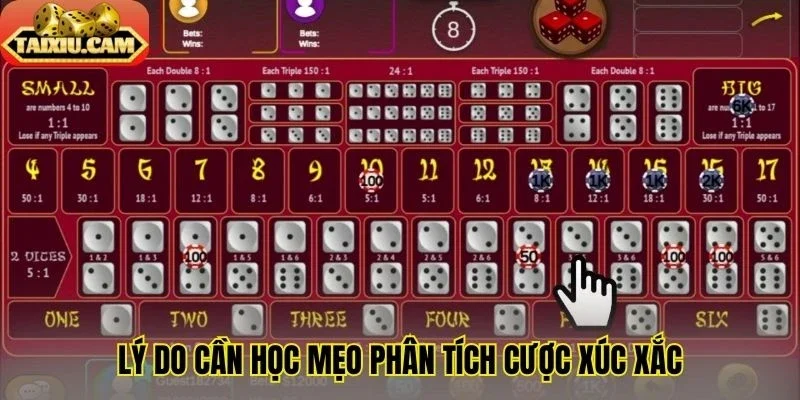 Lý do cần học mẹo phân tích cược xúc xắc