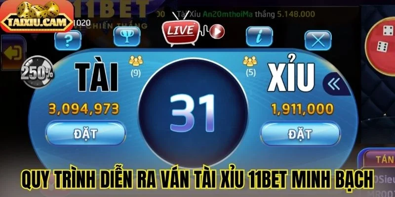 Quy trình diễn ra ván tài xỉu 11Bet minh bạch