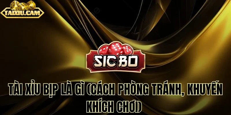 Tài xỉu bịp là gì (cách phòng tránh, khuyến khích chơi)