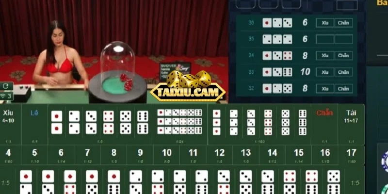 Cách chơi tài xỉu online miễn phí cơ bản từ A-Z