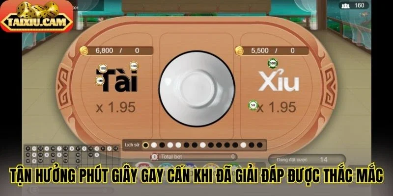 Tận hưởng phút giây gay cấn khi đã giải đáp được thắc mắc