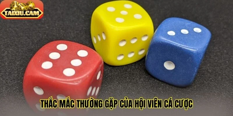 Thắc mắc thường gặp của hội viên cá cược