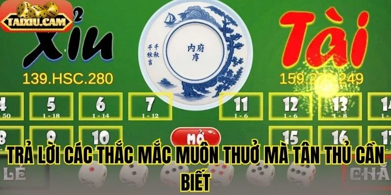 Trả lời các thắc mắc muôn thuở mà tân thủ cần biết