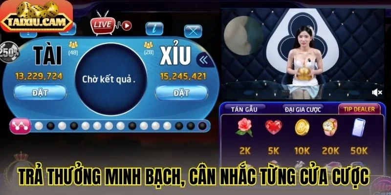 Trả thưởng minh bạch, cân nhắc từng cửa cược 