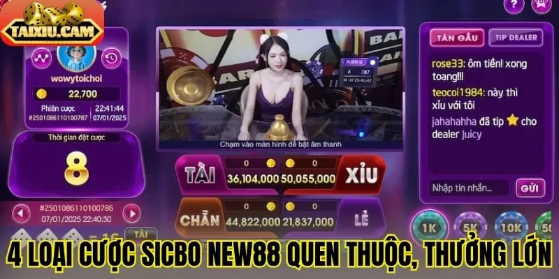 4 loại cược sicbo New88 quen thuộc, thưởng lớn