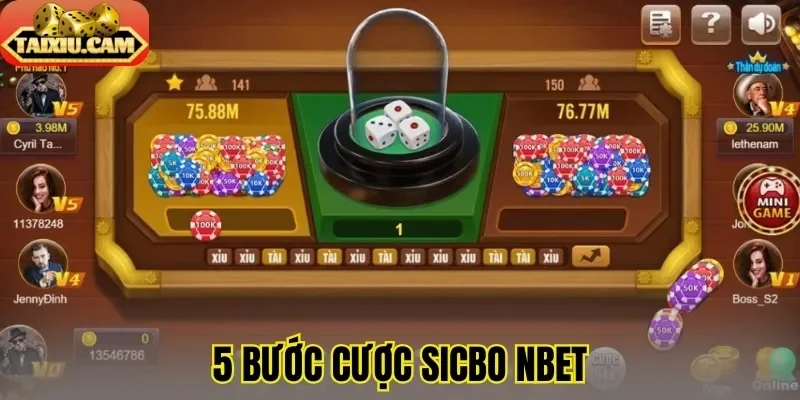 5 bước cược sicbo NBET