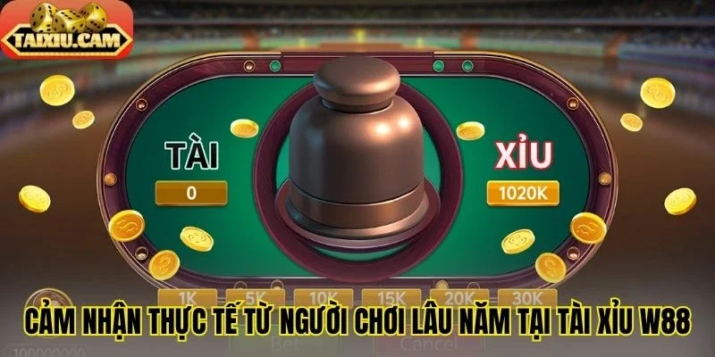 Cảm nhận thực tế từ người chơi lâu năm tại tài xỉu W88