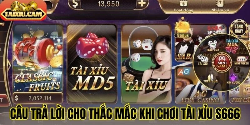 Câu trả lời cho thắc mắc khi chơi tài xỉu S666