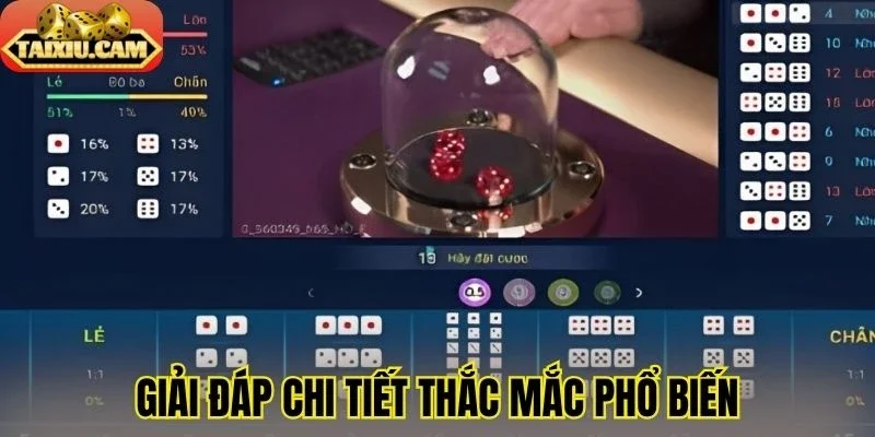 Giải đáp thắc mắc thường gặp khi chơi tài xỉu 86Bet
