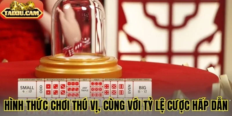 Hình thức chơi thú vị, cùng với tỷ lệ cược hấp dẫn