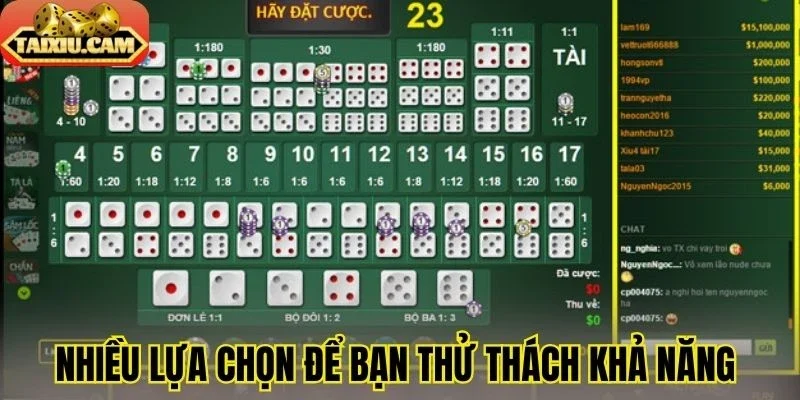 Nhiều lựa chọn để bạn thử thách khả năng phán đoán