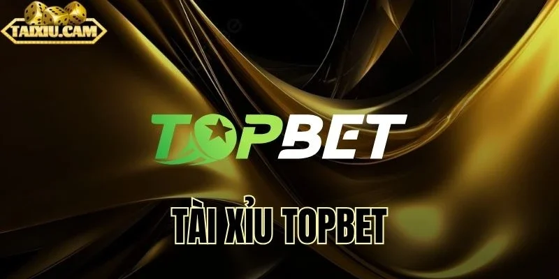 Sân chơi hội tụ những cảm giác kịch tính xen lẫn thú vị