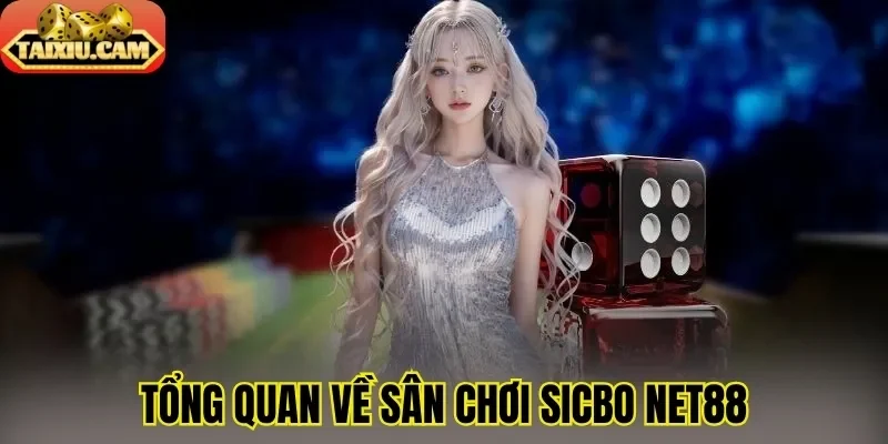 Tổng quan về sân chơi sicbo Net88